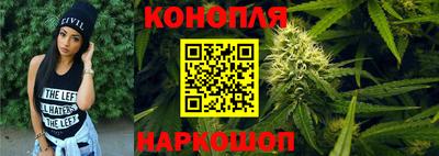 индика Партизанск