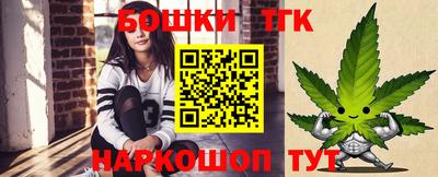 индика Партизанск