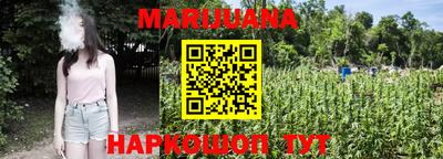 индика Партизанск