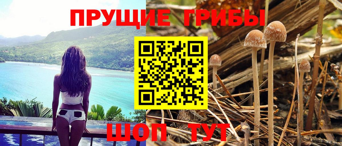 Галлюциногенные грибы MAGIC MUSHROOMS  Галлюциногенные грибы GOLDEN TEACHER  Вход с VPN  Кондопога 