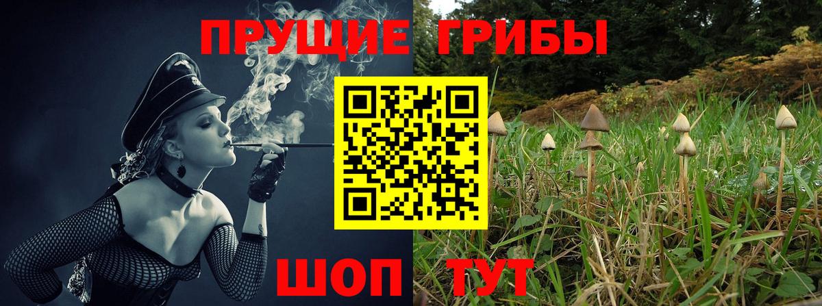 Галлюциногенные грибы прущие грибы Кондопога
